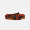 Summit belt