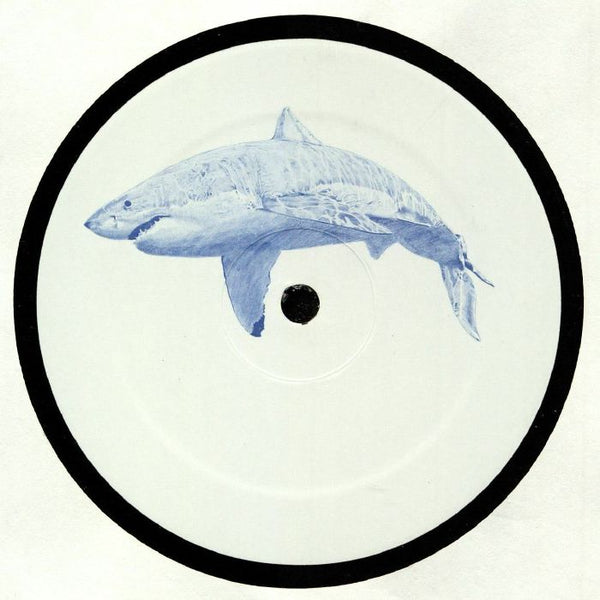 Kyle HALL The Shark (12